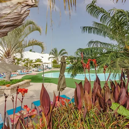 Lovely Studio Big Pool Costa Near Aquapark Appartamento Adeje